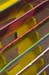 LINSCOTTPHOTO-2006-08-03 114015