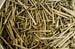 LINSCOTTPHOTO-2006-08-03 185818