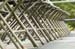 LINSCOTTPHOTO-_dsc0040