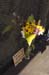 LINSCOTTPHOTO-2006-08-11 155822