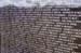 LINSCOTTPHOTO-2006-08-11 160201