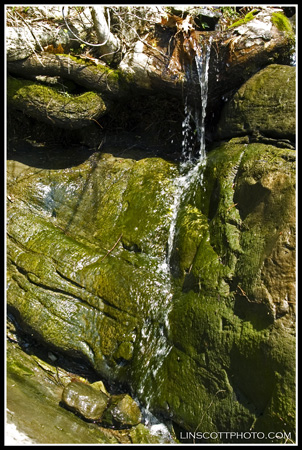 DSC_0332