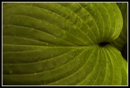 _DSC02402