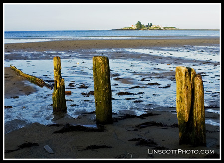 lowtidepilings
