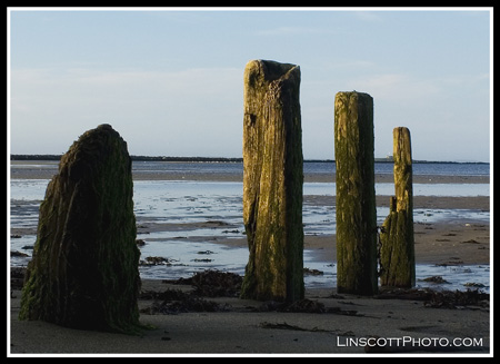 lowtidethree