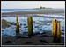 lowtidepilings