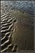 sandprints