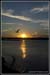 sunsetbird
